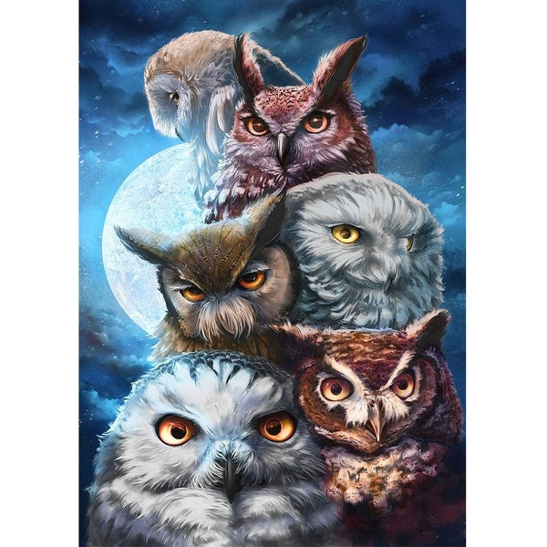 DIY 5D Owl Diamond Painting Full Drill With Number Kits Home Decor Wall Painting The Gift Arts and Crafts For Adults,Teenagers,The Old