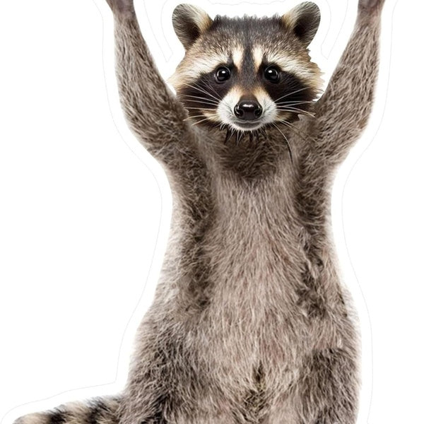 Rocking Raccoon Sticker, Funny Raccoon Cute Car Decal, 5 inches - Cup Vinyl Cooling Box, Waterproof Sticker, Decal Car Laptop Wall Window Bumper Stic