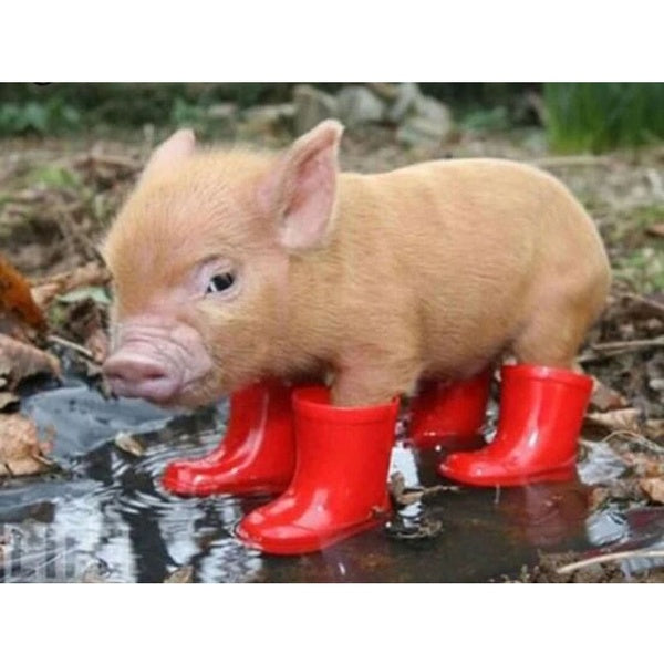 DIY 5D Pig Pattern Round-Square Diamond Painting Full Drill Diamond Painting with Number Kits Home and Kitchen Fashion Crystal Rhinestone Cross Stitc