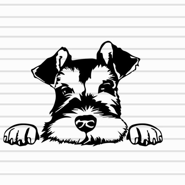 2Pack Miniature Schnauzer Dog Vinyl Sticker Decal