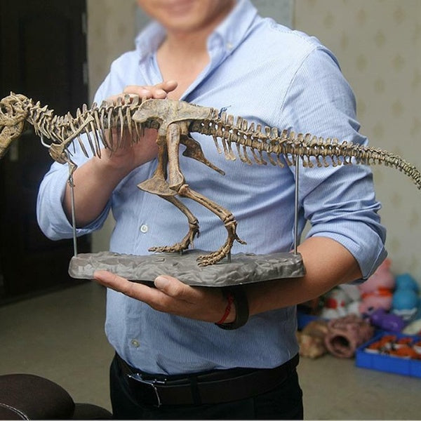 Dinosaur Skeleton Fossil Bone Jigsaw Puzzle Children Toys Collection Animal 4D Model Decoration