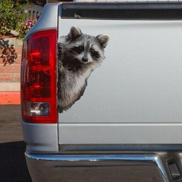 Peeking Raccoon Car Truck Vehicle Vinyl Decal Sticker
