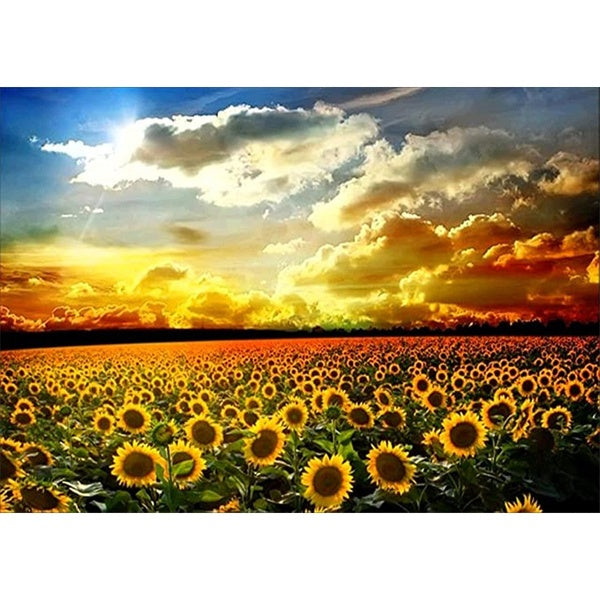 DIY 5D Diamond Painting Sunflower by Number Kits Painting Cross Stitch Full Drill Crystal Rhinestone Embroidery Pictures Arts Craft for Home Wall Dec