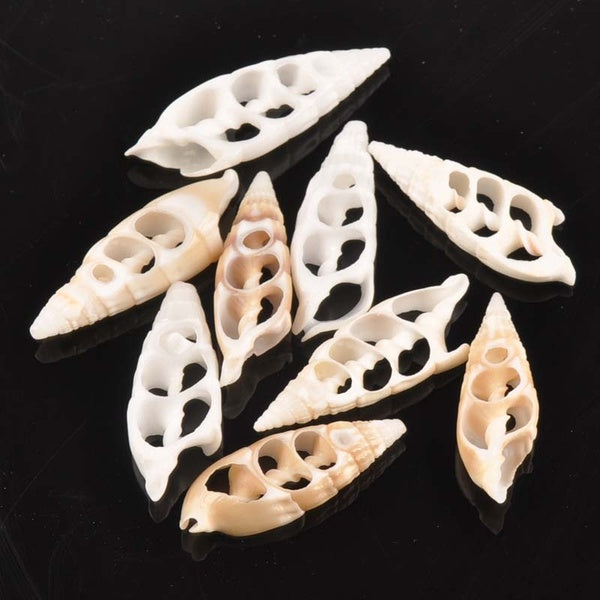 10pcs Natural Shell DIY Scrapbook Crafts Trilateral Pattern Hollow Out Seashells Handmade Home Decor Ornaments 42-55mm TRS0133