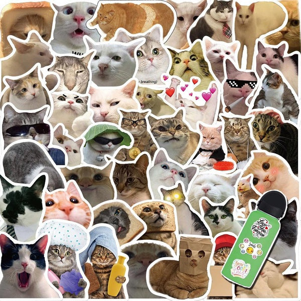 10-50PCS Cat Stickers Cute Animal Vinyl Stickers Water Bottle Laptop Mobile Phone Skateboard Kids Adult Stickers