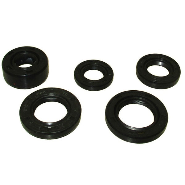 FishMotor Engine Oil Seals For 50cc 70cc 110cc 125cc Pit Dirt Monkey Bike ATV Go Kart