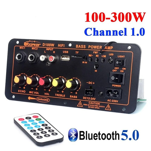 Woopker carte amplificateur Bluetooth D100W Max 300W 220V-12V-24V prise en charge de l'amplificateur numérique double Microphone lecteur MP3