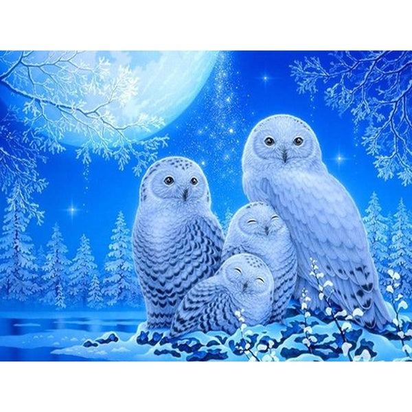 DIY 5D Owl Pattern Round-Square Diamond Painting Full Drill Diamond Painting with Number Kits Home and Kitchen Fashion Crystal Rhinestone Cross Stitc
