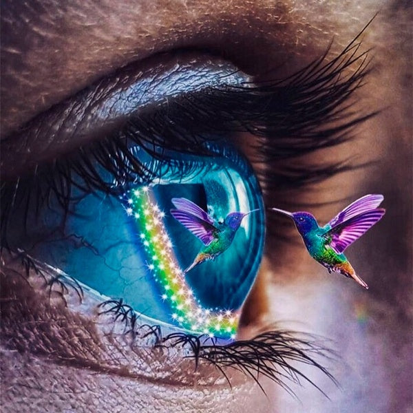 DIY 5D Eye and Bird Art Pattern Diamond Painting Full Drill with Number Kits Home and Kitchen Fashion Crystal Rhinestone Cross Stitch Embroidery Pain