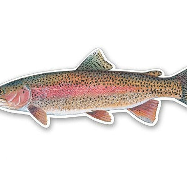 Rainbow Trout Fish - Vinyl Sticker Waterproof Decal Car Sticker CR01