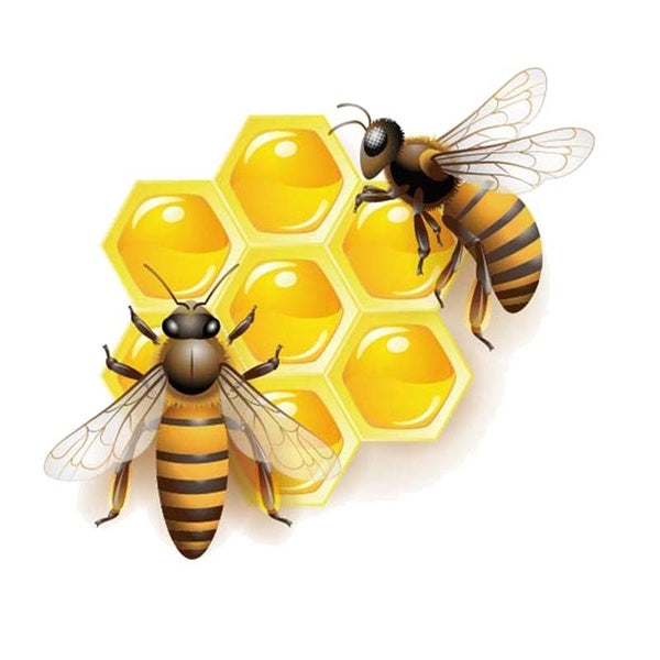 15.4CM*13.7CM Bees That Eat Honey Car Sticker Decal 12-300573