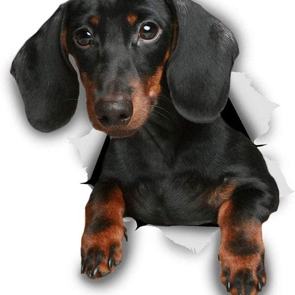 3D Dog Stickers - 2 Pack - Black Dachshund for Car Truck Window Bumper Vinyl Decal Dachshund Stickers