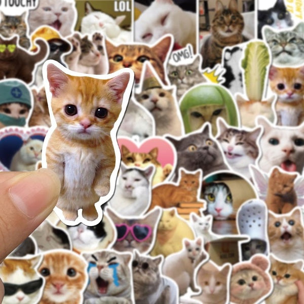 10-50PCS Kawaii Love Cat PVC Sticker Aesthetic cat Meme Graffiti Stickers for DIY Luggage Laptop Skateboard Motorcycle Bicycle Stickers
