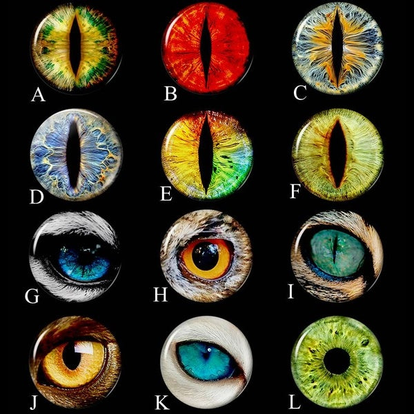 Dragon Eyes Cabochons 25 Mm Eye Jewelry 5PCS Set Glass Cabochon Blanks Diy Jewelry Making Craft Supplies Handmade Jewelry Findings Accessories Matron Inn