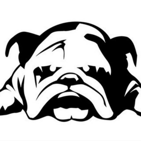 Reflective Personality English Bulldog Tired Puppy Dog Car StickersCar Body Car Styling Removable Waterproof Stickers