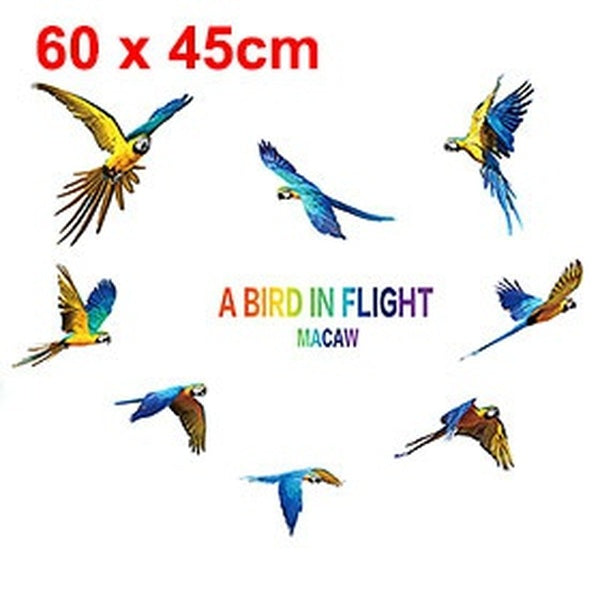 Home PVC Parrot Pattern Self-adhesive Wall Sticker Film Decal Colorful 60 x 45cm