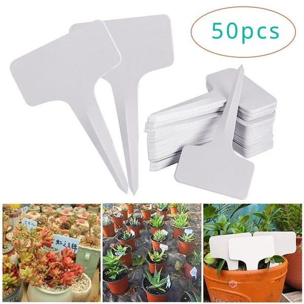 50pcs White Plastic PVC Plant T-type Tags Markers Nursery Garden Labels Seedling Tray Pots Decoration Garden Labels 6x10cm