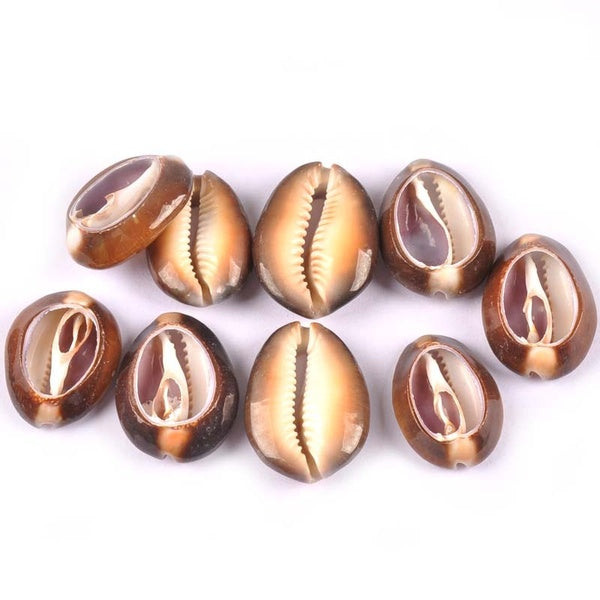 5pcs 2-3.5cm Natural Cut Shells For DIY Handmade Home Decor Scrapbooking Craft Handcraft Seashells Crafts Ornaments TRS0295