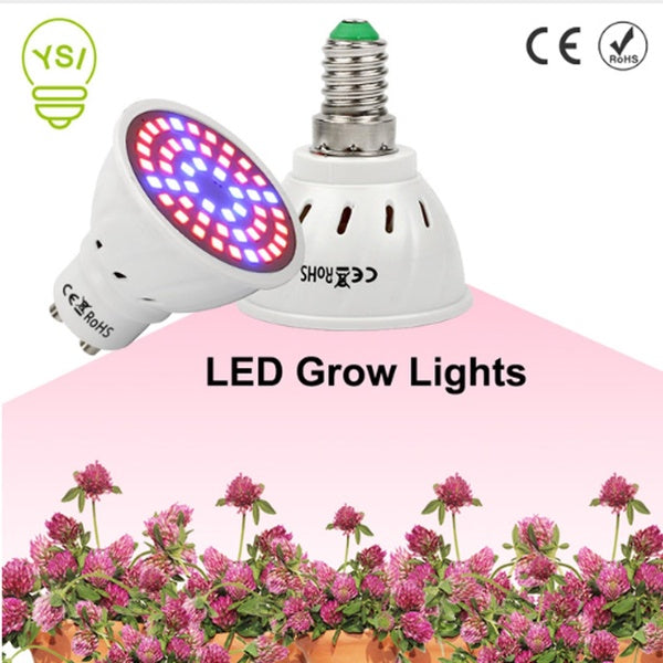 Ranpo 2835 LED Plant Grow Light GU10 E27 AC 220V Full Spectrum Lamp For Flowers Vegetables Aquarium