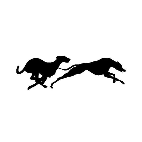 16.5CM*5CM Fashion Racing Greyhounds Vinyl Car Window Sticker Decal Animal Motorcycle