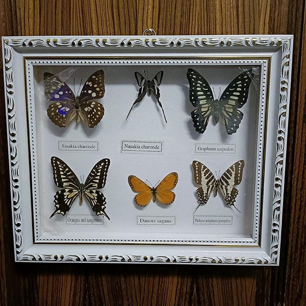 1 Set of 6pcs Exquisite Butterfly Specimen Photo Frame Craft Gift Handmade Butterfly Display Home Decoration