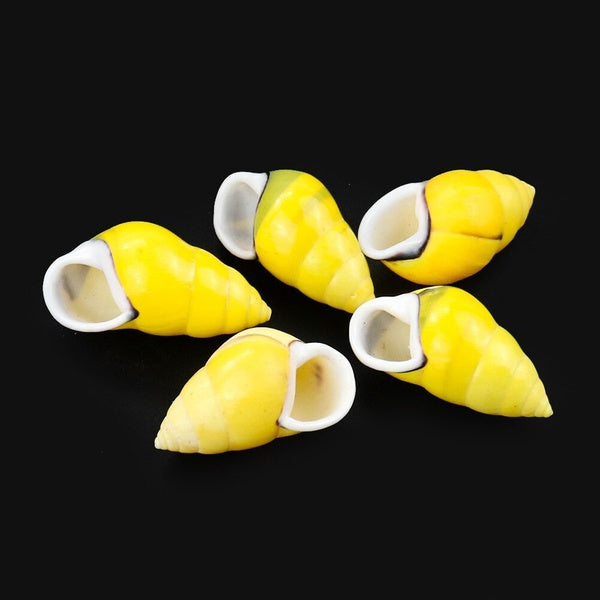 2PC Collectionable SeashellSpecimens Natural Yellow Conch Snail Hermit Crab Replacement Shell Fish Tank Landscape Decor Marine Crafts Gold Snail Disp