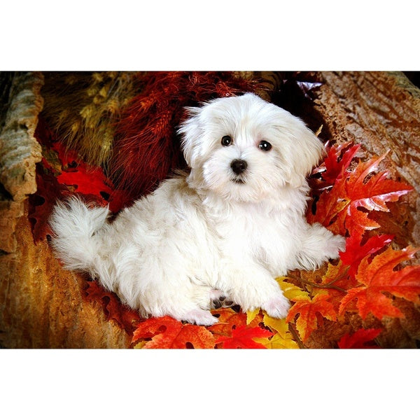 Animal DOG DIY 5D Diamond Painting by Number Kits Painting Cross Stitch Full Drill Crystal Rhinestone Embroidery Pictures Arts Craft for Home Wall De