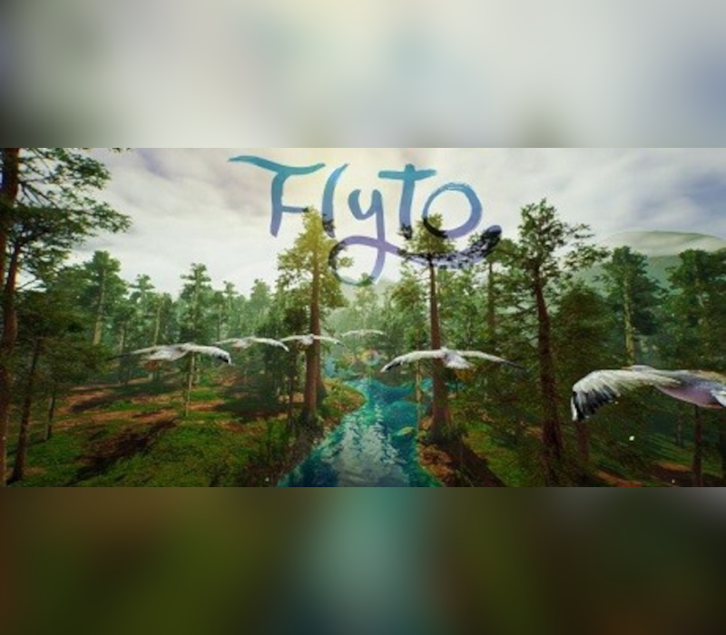 Flyto Epic Games CD Key
