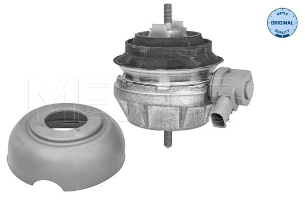 Engine Mounting MEYLE 100 199 3171