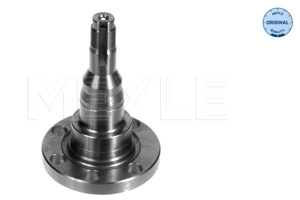 Stub Axle, wheel suspension MEYLE 100 501 1010