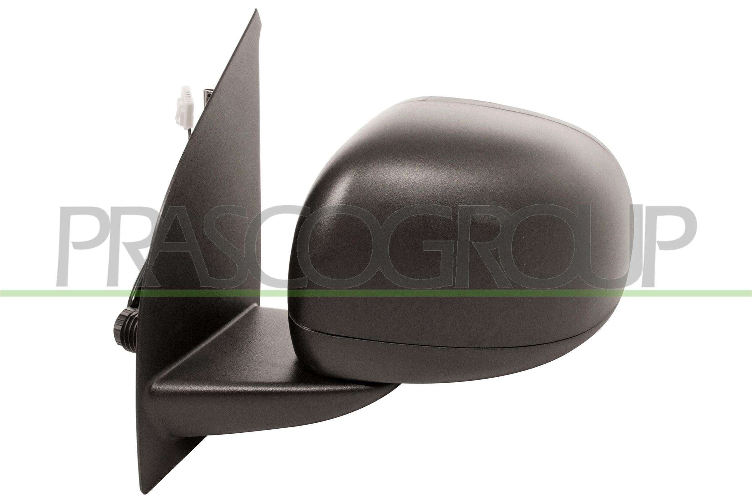 Exterior Mirror PRASCO FT1237125P