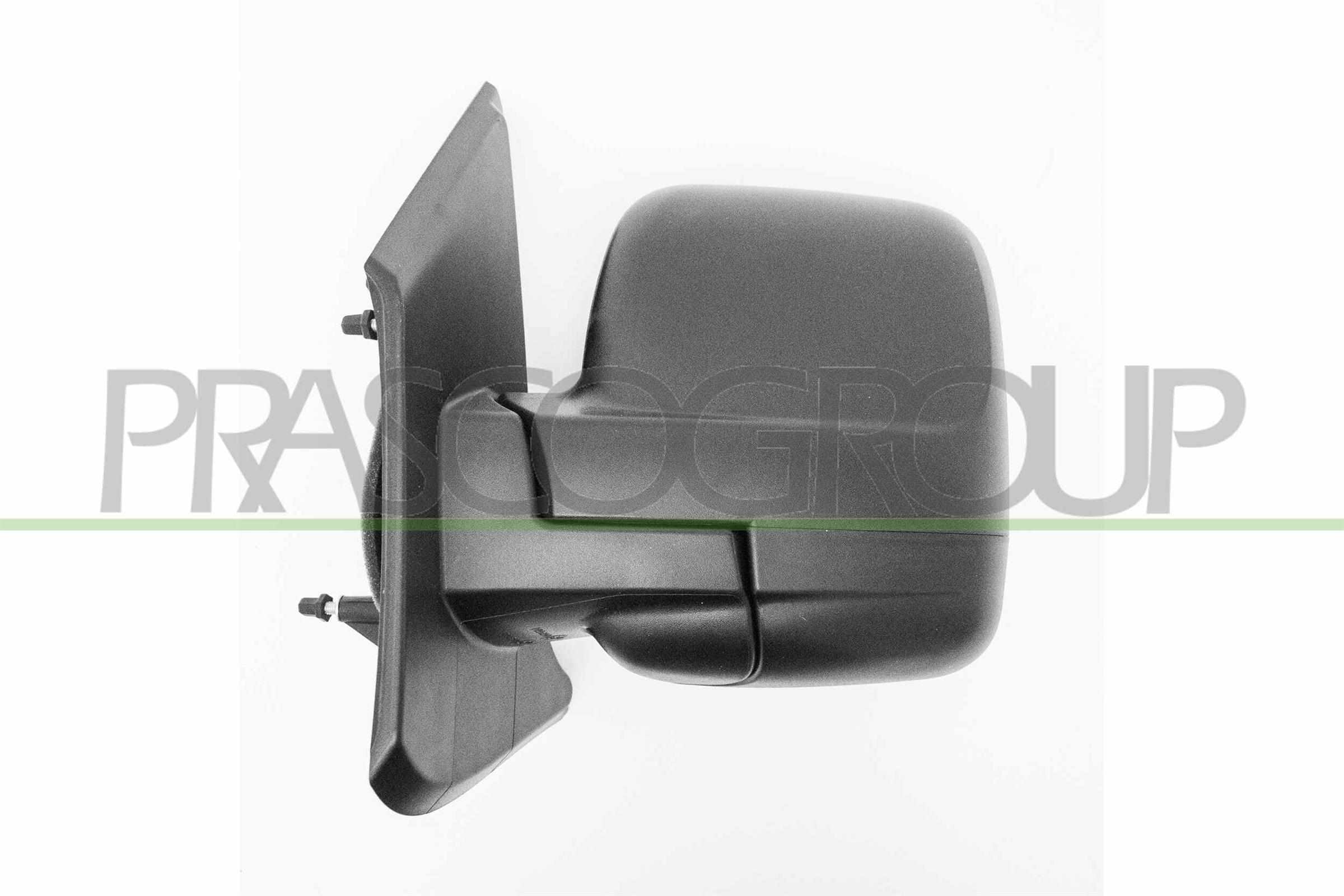 Exterior Mirror PRASCO FT9007004
