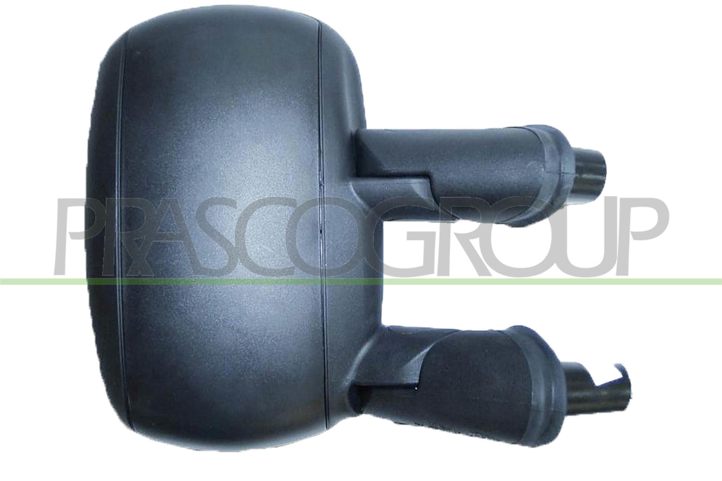 Exterior Mirror PRASCO FT9087013