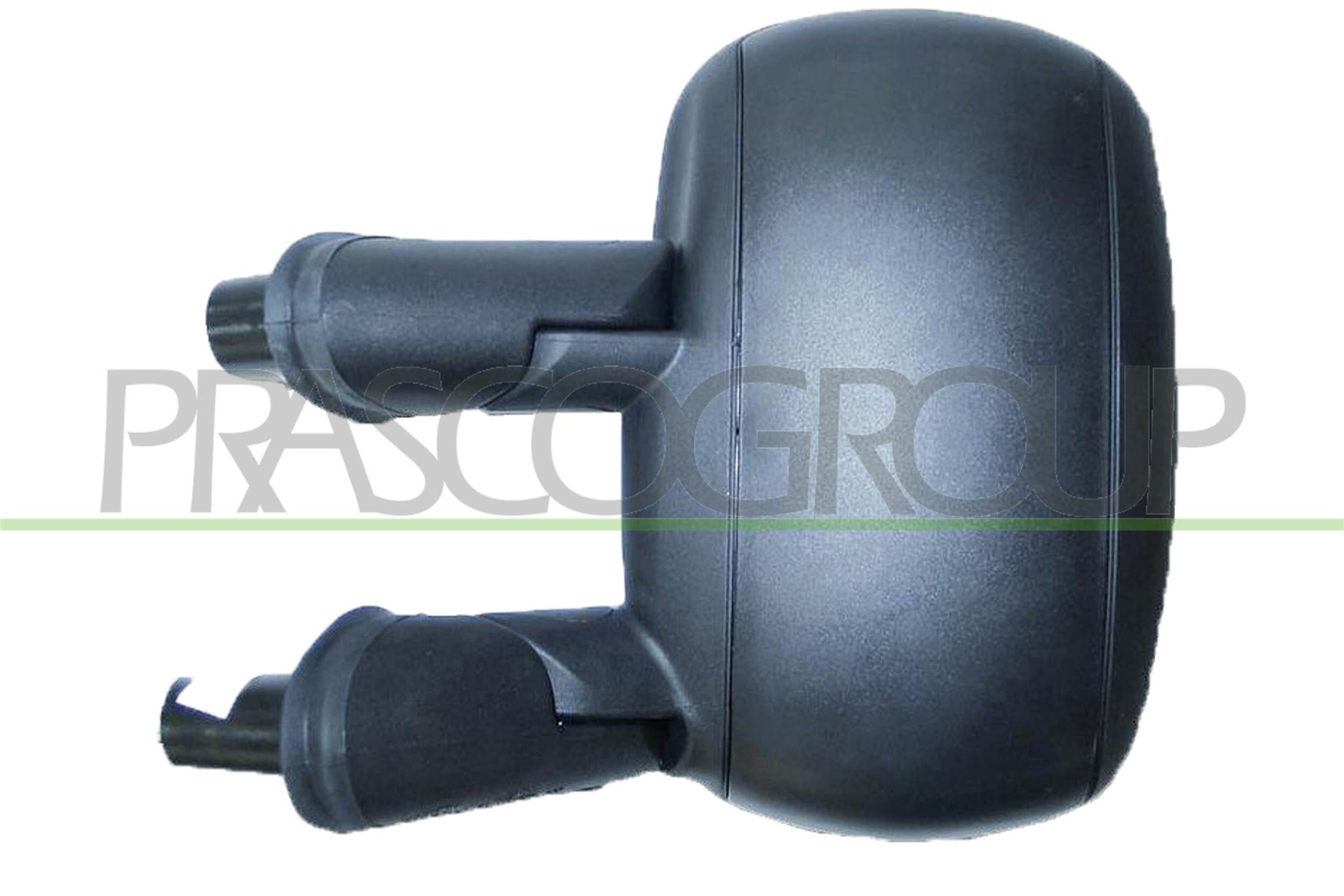 Exterior Mirror PRASCO FT9087014