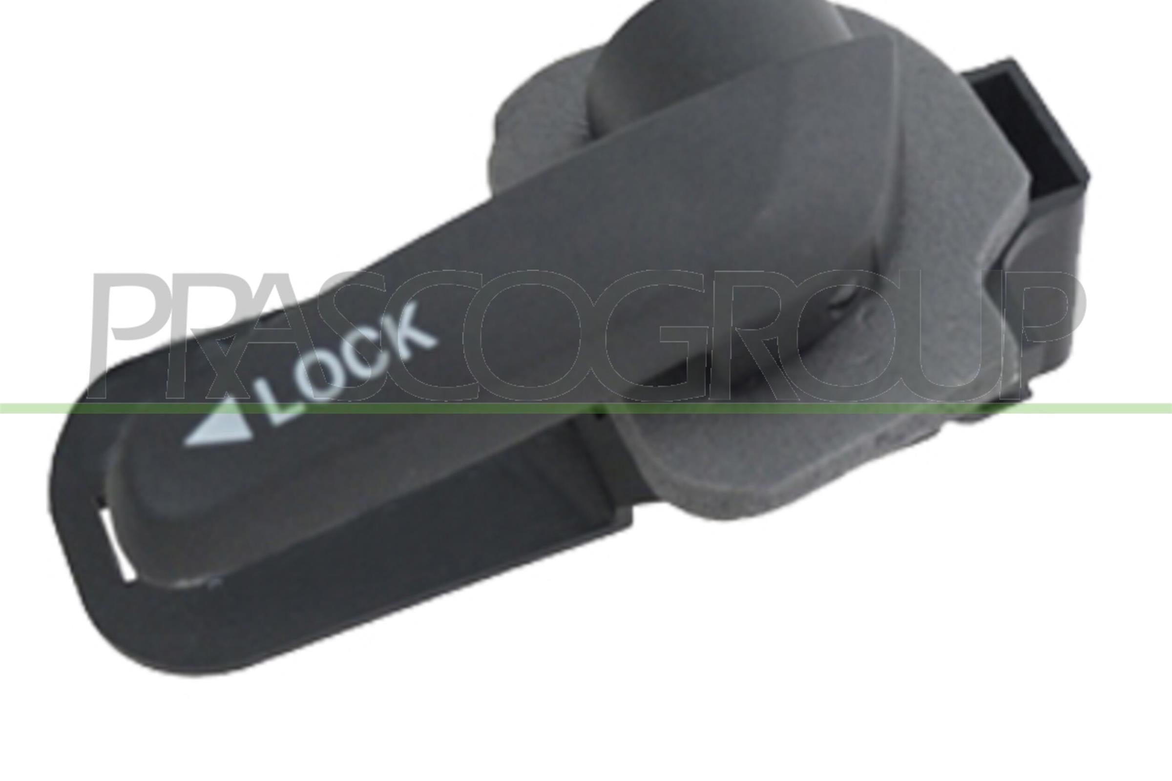 Door Handle, interior equipment PRASCO FT9098401