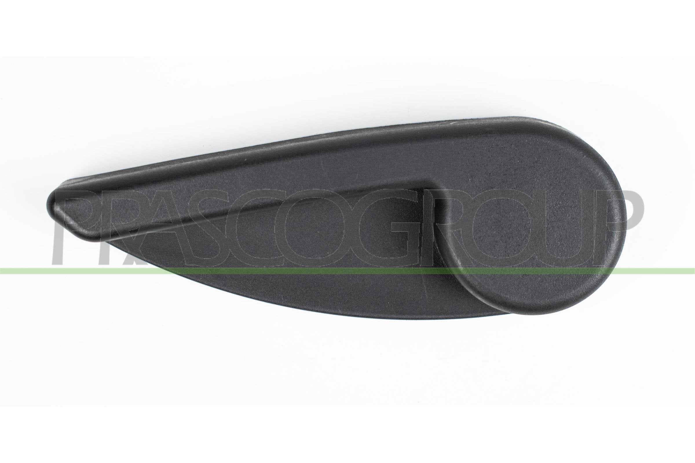 Door Handle, interior equipment PRASCO FT9098502