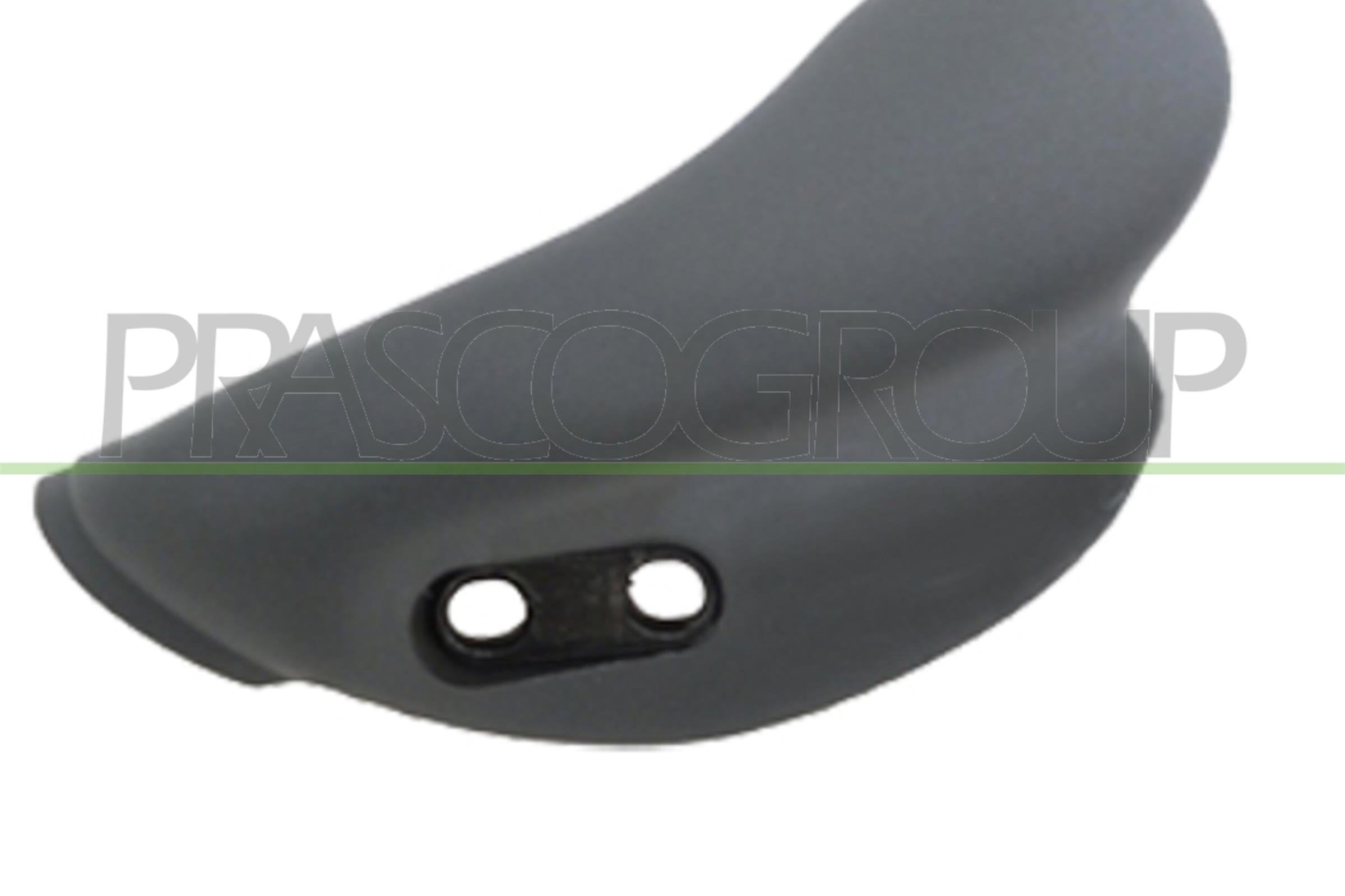 Door Handle, interior equipment PRASCO FT9208408