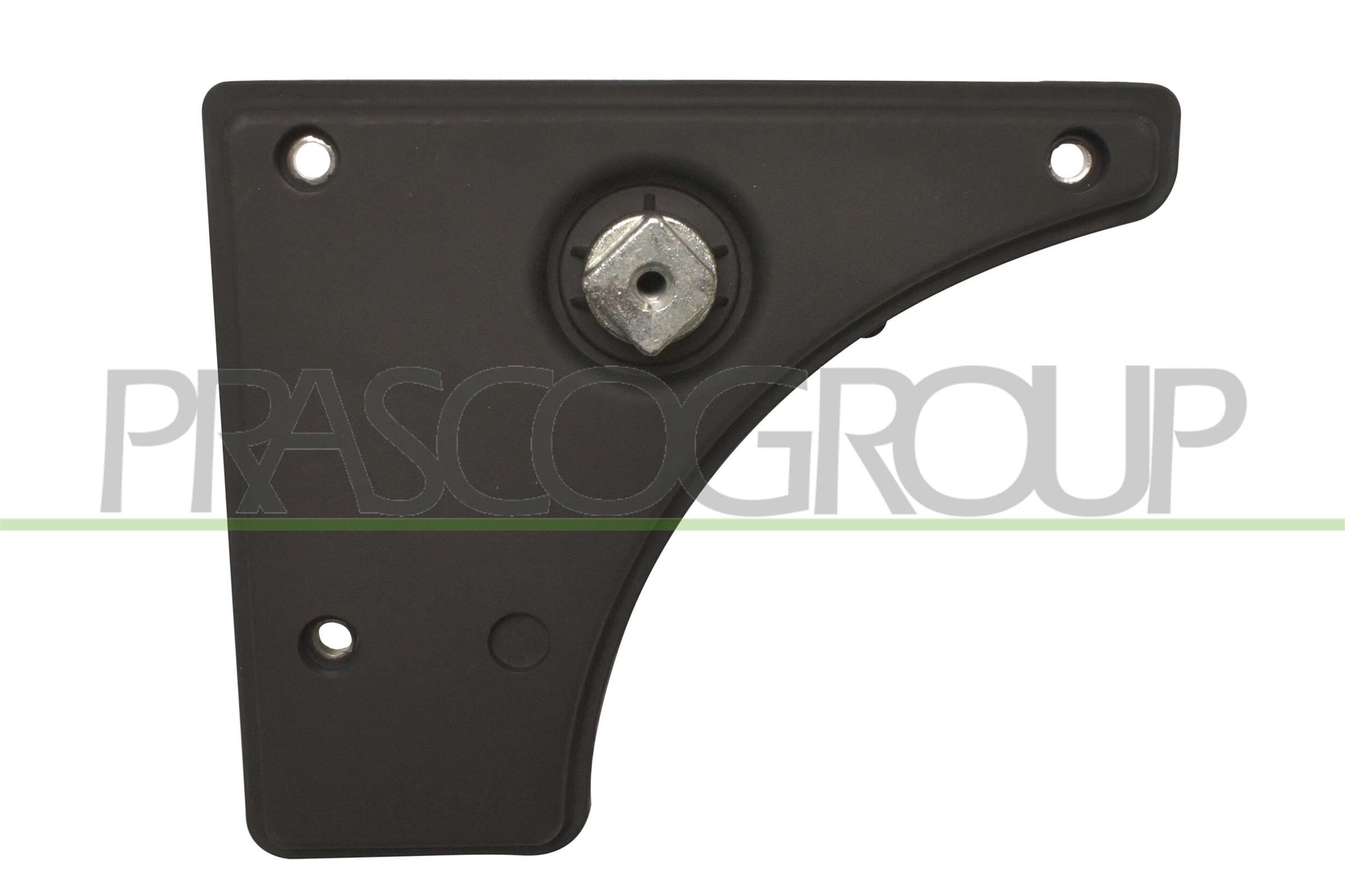 Door Handle, interior equipment PRASCO FT9308311