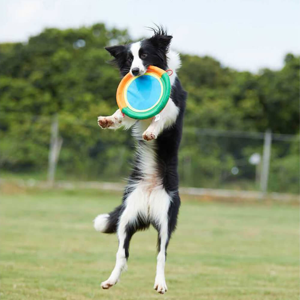 Outdoor Interactive Dog Toy Durable Oxford Cloth Dog Frisbee, Frisbee - A