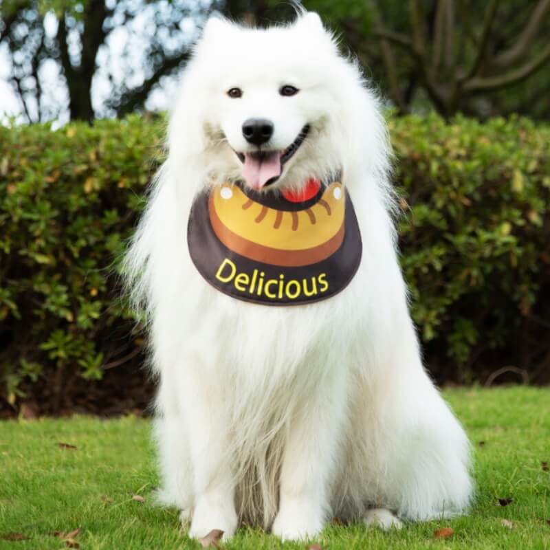 Pet Neckerchief Waterproof Cool Dog Accessories Drool Bib-Sausage, Coffee - XL