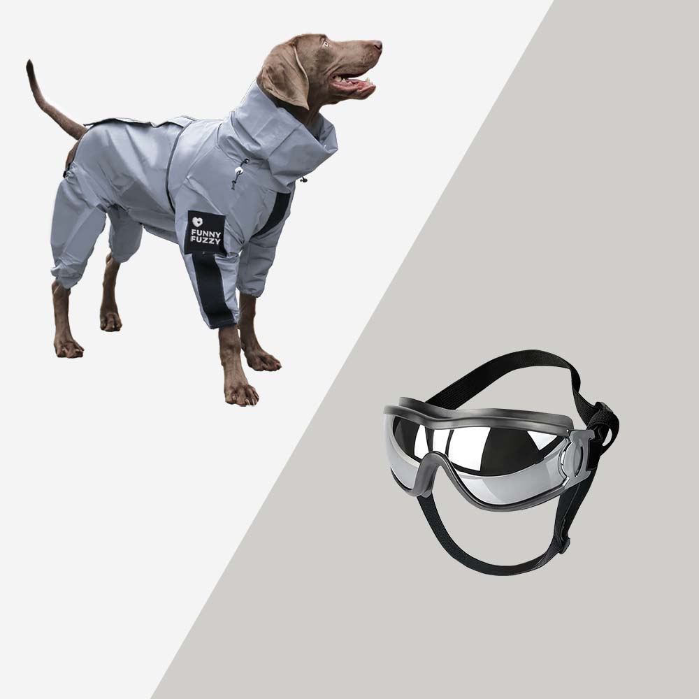 Reflective All-weather Waterproof Cool Dog Accessories Rain Coat, Coat & Goggles - S - Standard