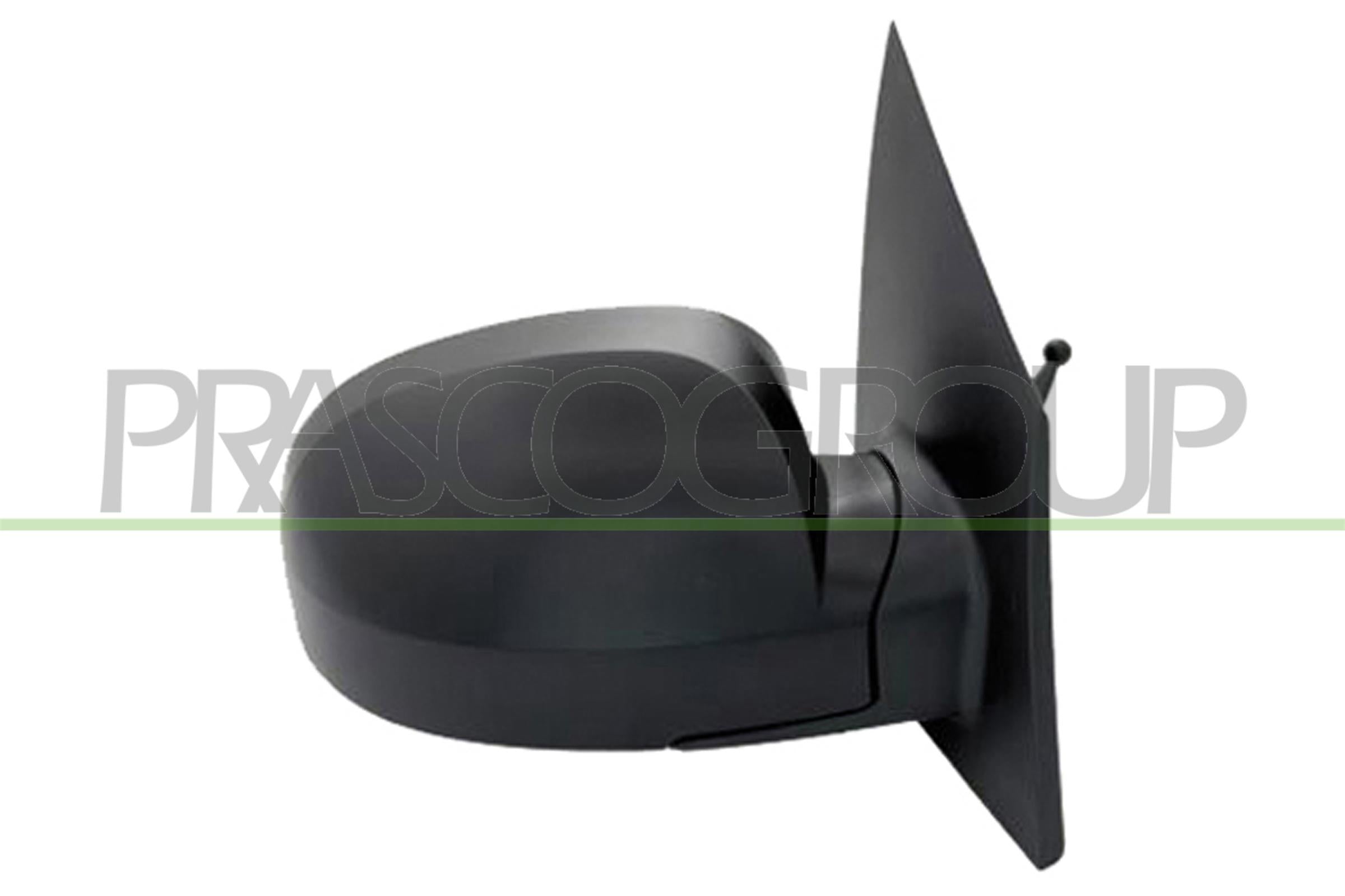 Exterior Mirror PRASCO HN3307113