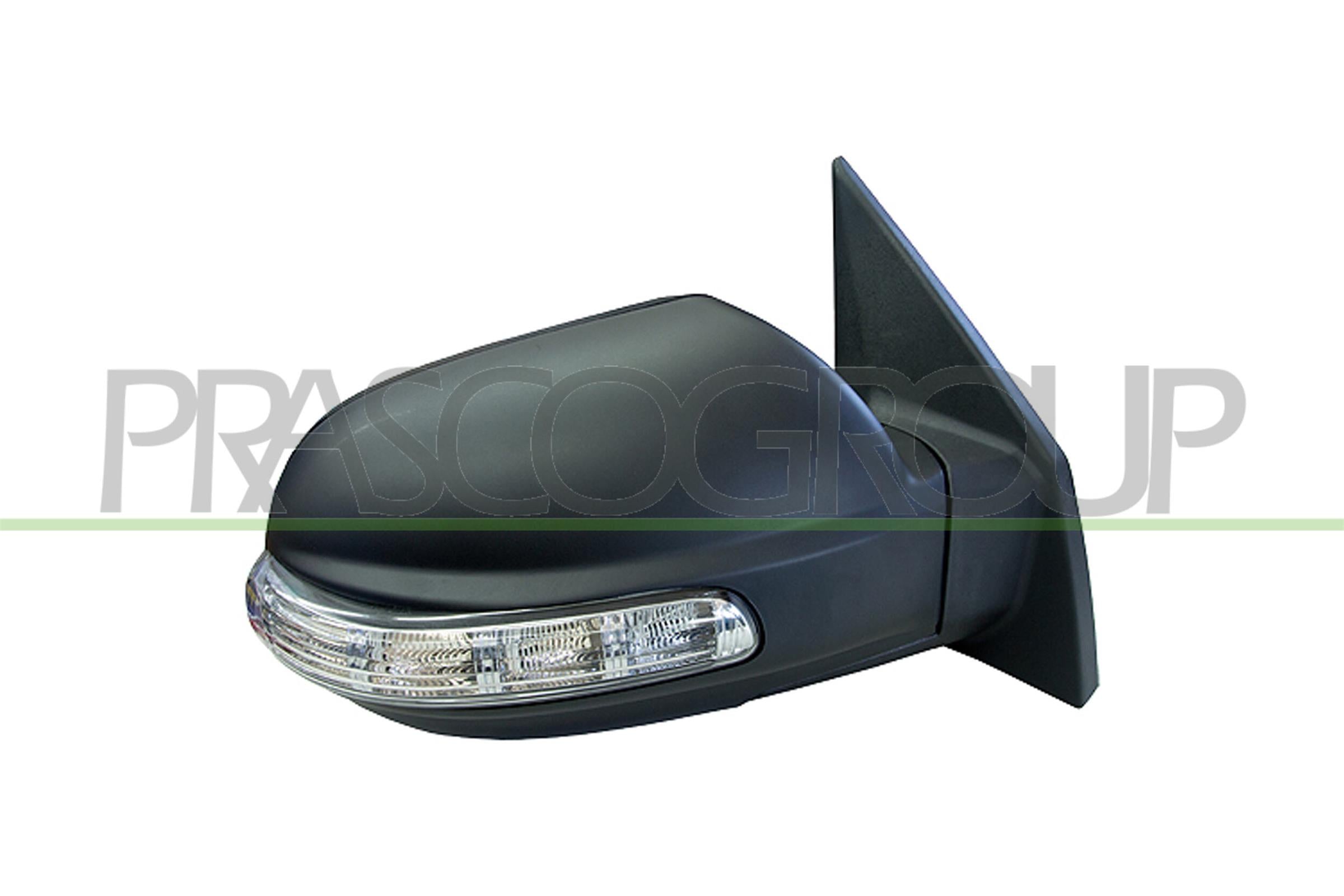 Exterior Mirror PRASCO HN8027133