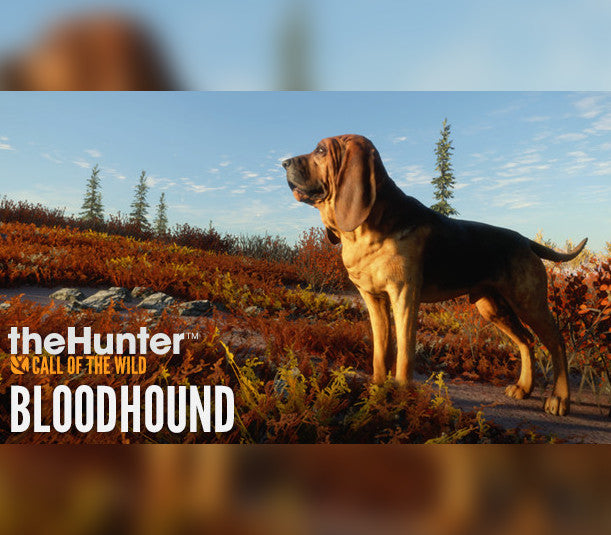 theHunter: Call of the Wild - Bloodhound DLC EU XBOX One - Xbox Series X|S CD Key