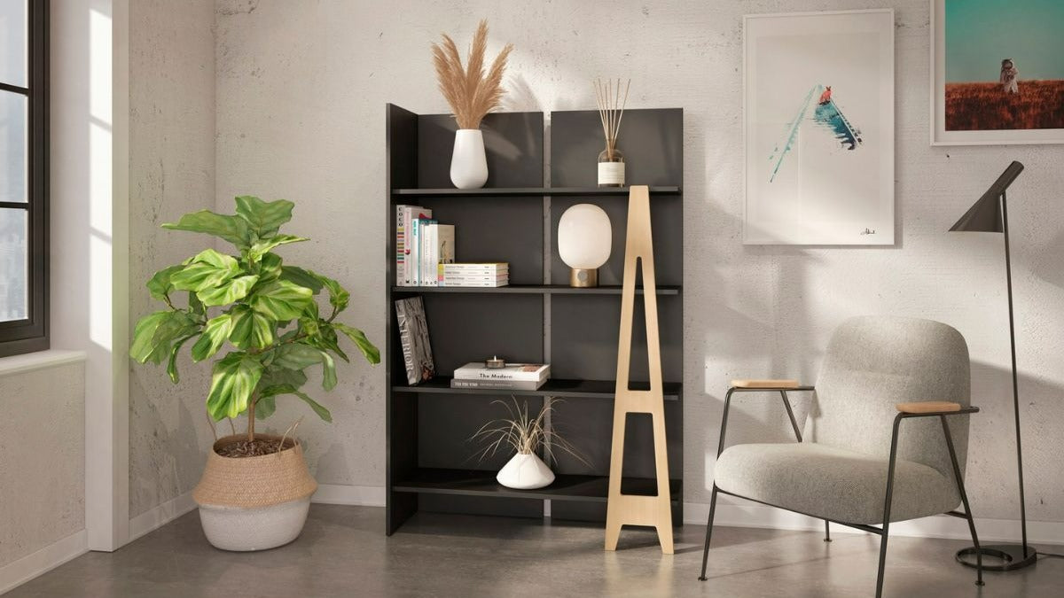 Nexera Atypik Bookcase Black and Birch Plywood