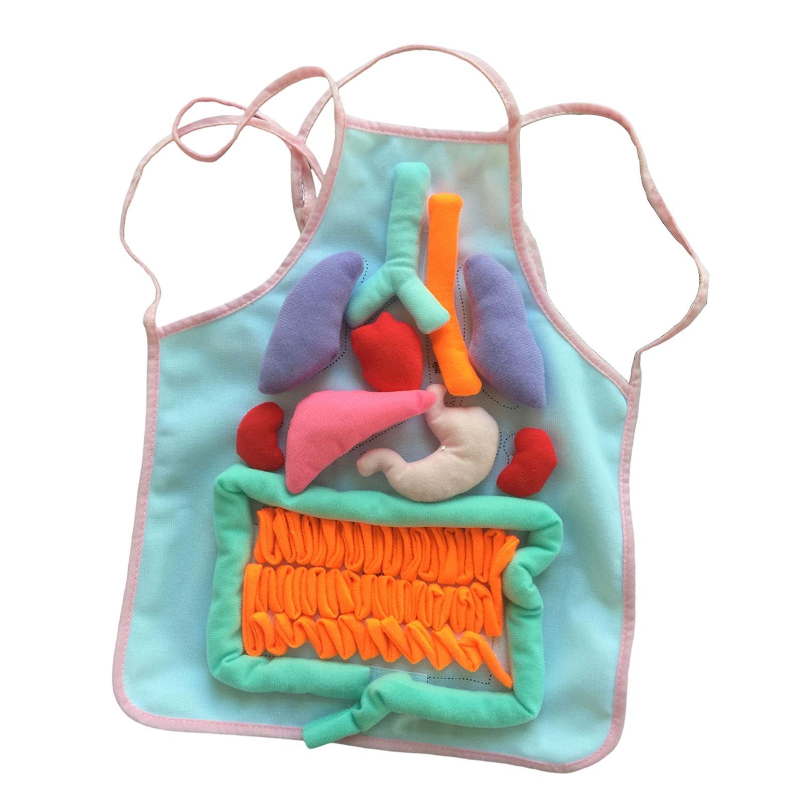 3D Organ Apron Awareness Three dimensional Pretend Play