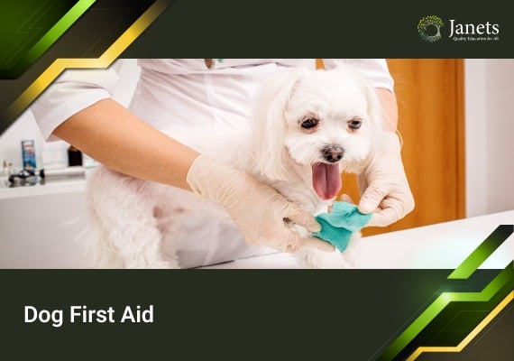 Dog First Aid - Janets Course  Global
