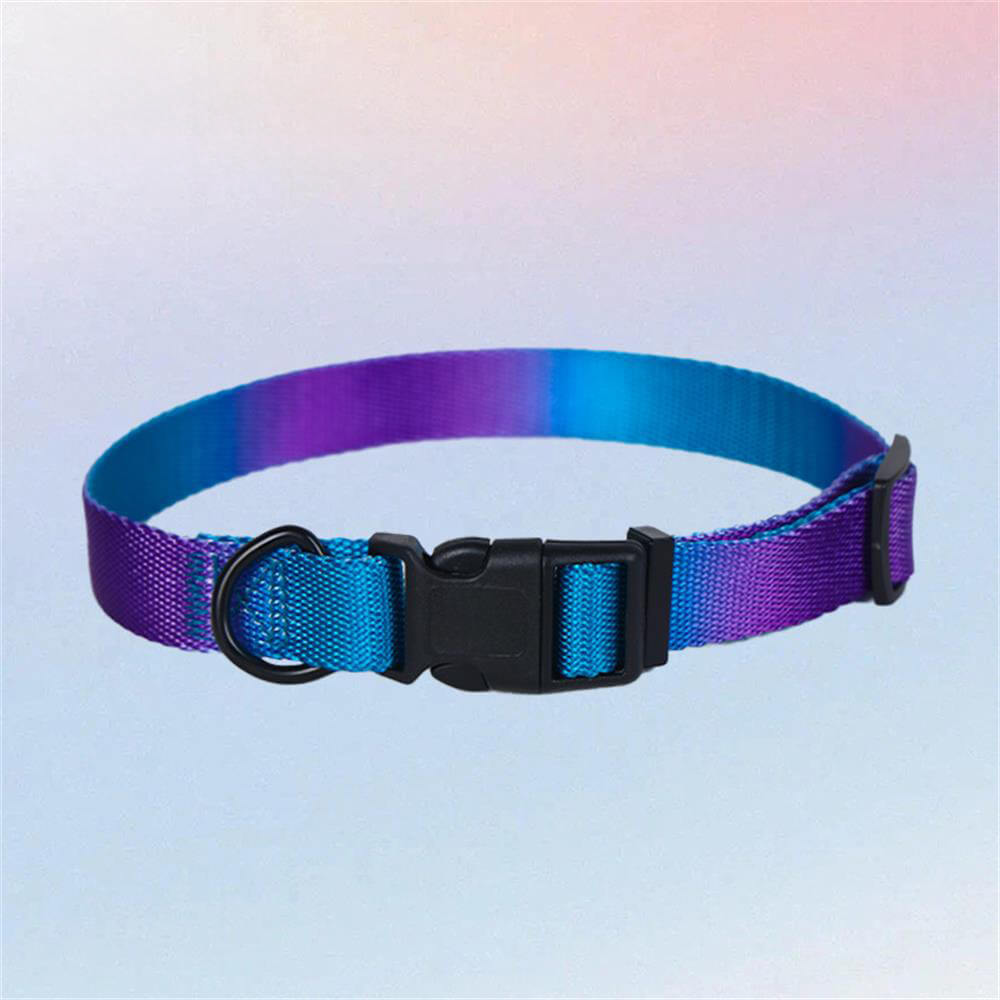 Colorful Gradient Dog Traction Rope and Chest Harness - Anti-Breakaway Design, Collar-Blue+Purple - M