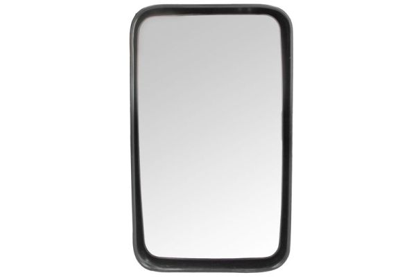 Exterior Mirror PACOL IVE-MR-004