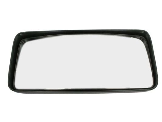 Exterior Mirror PACOL IVE-MR-008